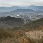 Harangvirag 36 *